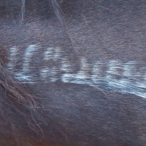 Fundraising Page: Jimmy Bennitt